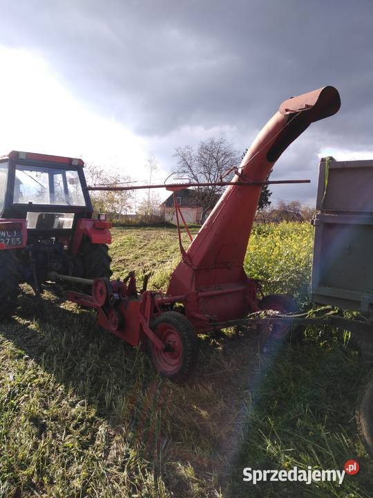 Ścinacz Zielonek Tarrup nieuszkodzony wielkopolskie Koło