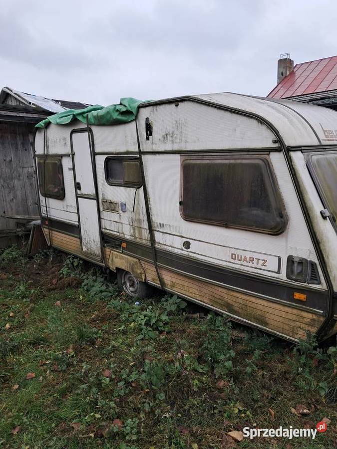 Sprzedam Beyerland świętokrzyskie Ostrowiec Świętokrzyski