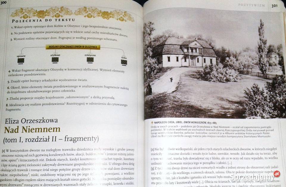 Zrozumieć tekst Zrozumieć człowieka 21 D miękka Chełm