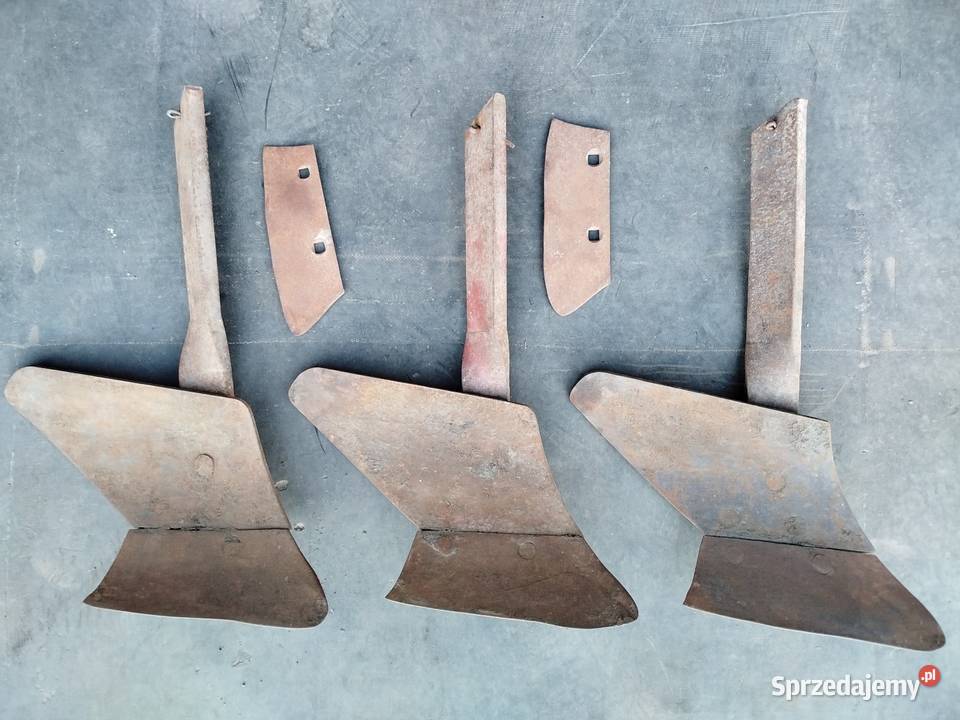 Przedpłużki pługa zagonowego Polskiego kujawsko-pomorskie Strzelno