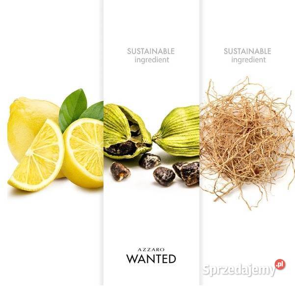 Perfumy męskie Azzaro Wanted 100 ml Białystok