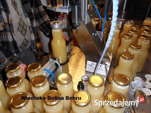 Tłoczenie pasteryzacja soków Pławna Dolna