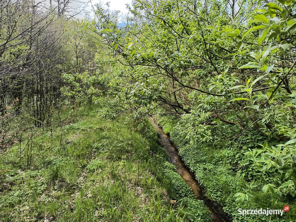 Sławutowo 183 pomorskie