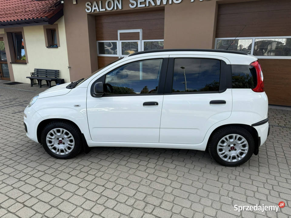 Fiat Panda 12 69 Klimatyzacja 1Właściciel III 1242cm3 śląskie Orzech