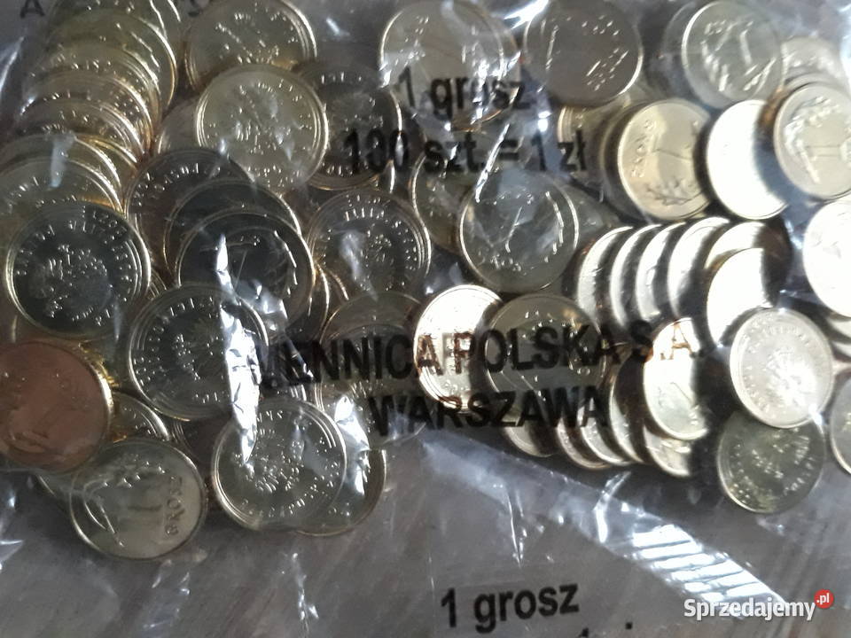 1 Grosz x 100 2021 rmenniczy woreczek