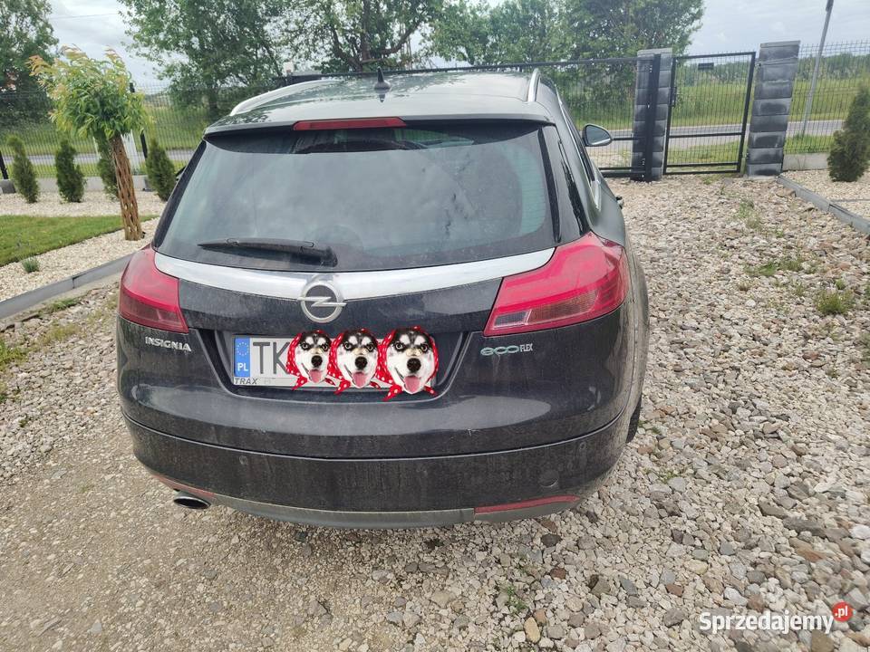 Opel Insignia 20 163 Jędrzejów