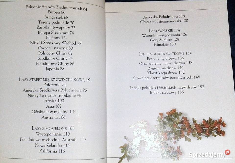 Drzewa Mini encyklopedia Theresa Greenaway Chełm sprzedam