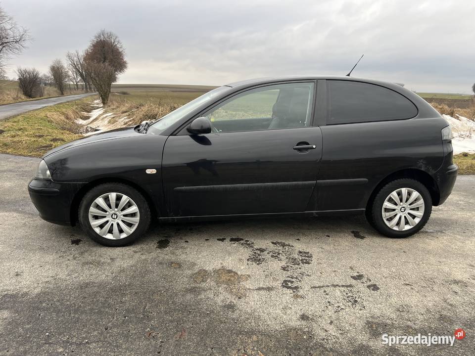 Seat Ibiza 2006 14 1390cm3