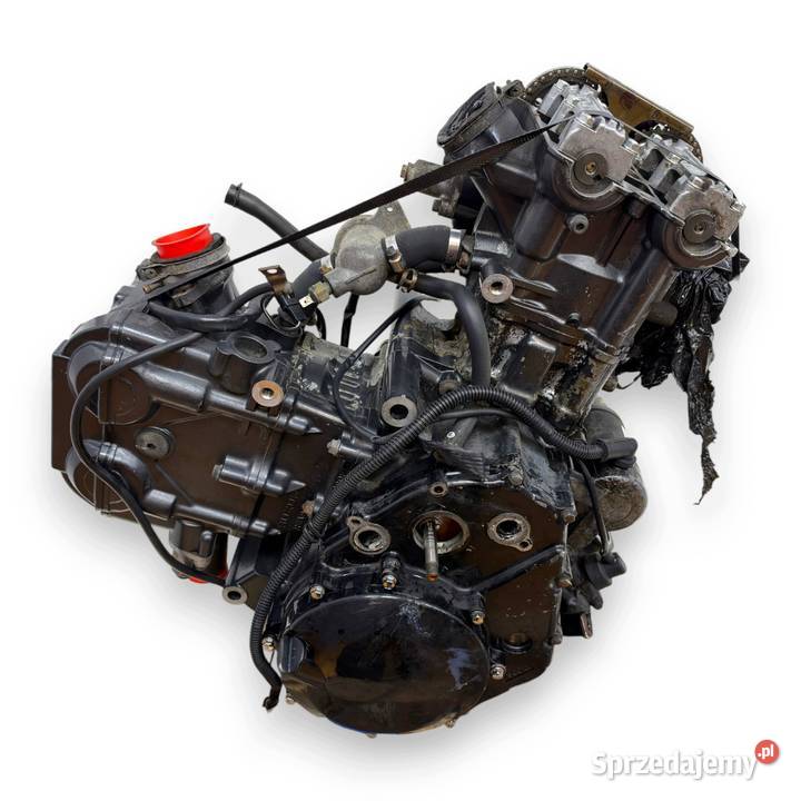 SILNIK P503 Suzuki SV650 SV 650 19992002 sprawny Chełm
