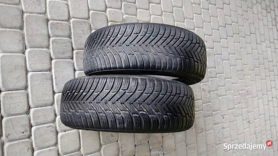 Opony wielosezonowe 19560R15 88H Nokian Tyres Nokian Tywonia