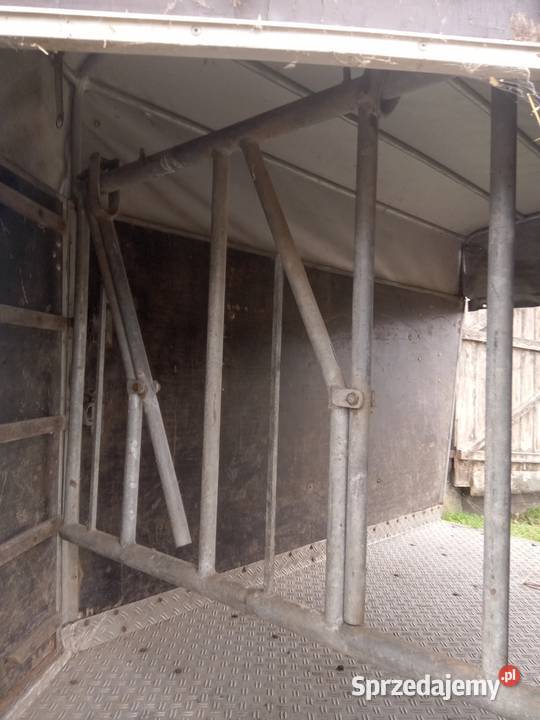 Przyczepka samochodowa Do przewozu koni podlaskie Puńsk