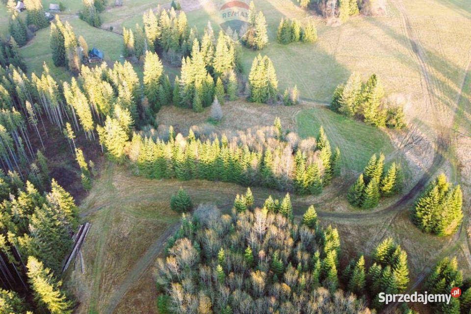 DZIAŁKI ROLNE SPRZEDAŻ DZIANISZ SKŁADZISKA 20m sprzedam