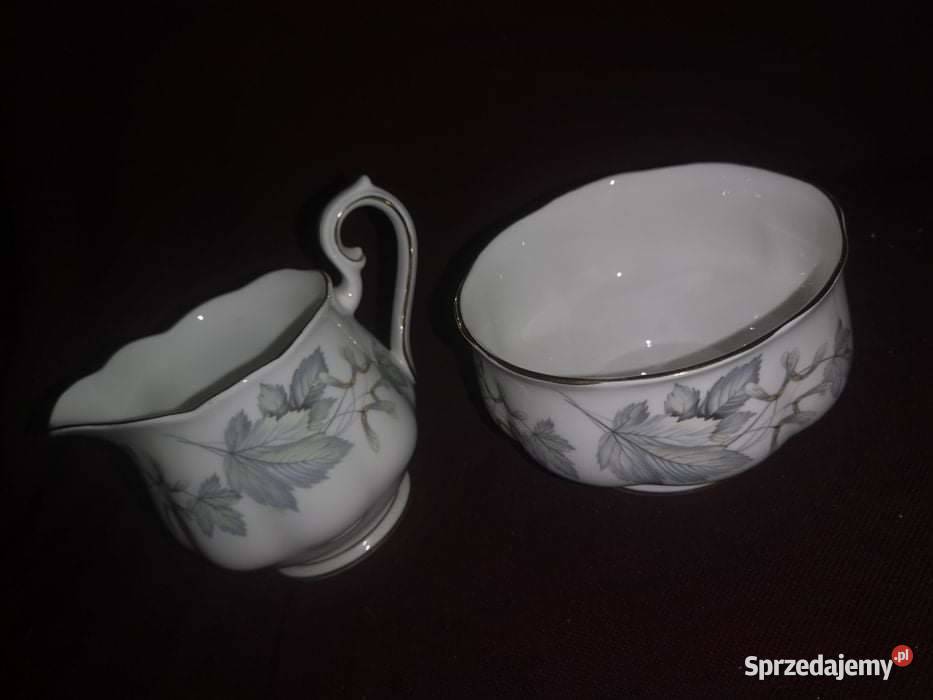 Mlecznik Klon srebrzystySilver Maple Royal pomorskie Gdańsk sprzedam