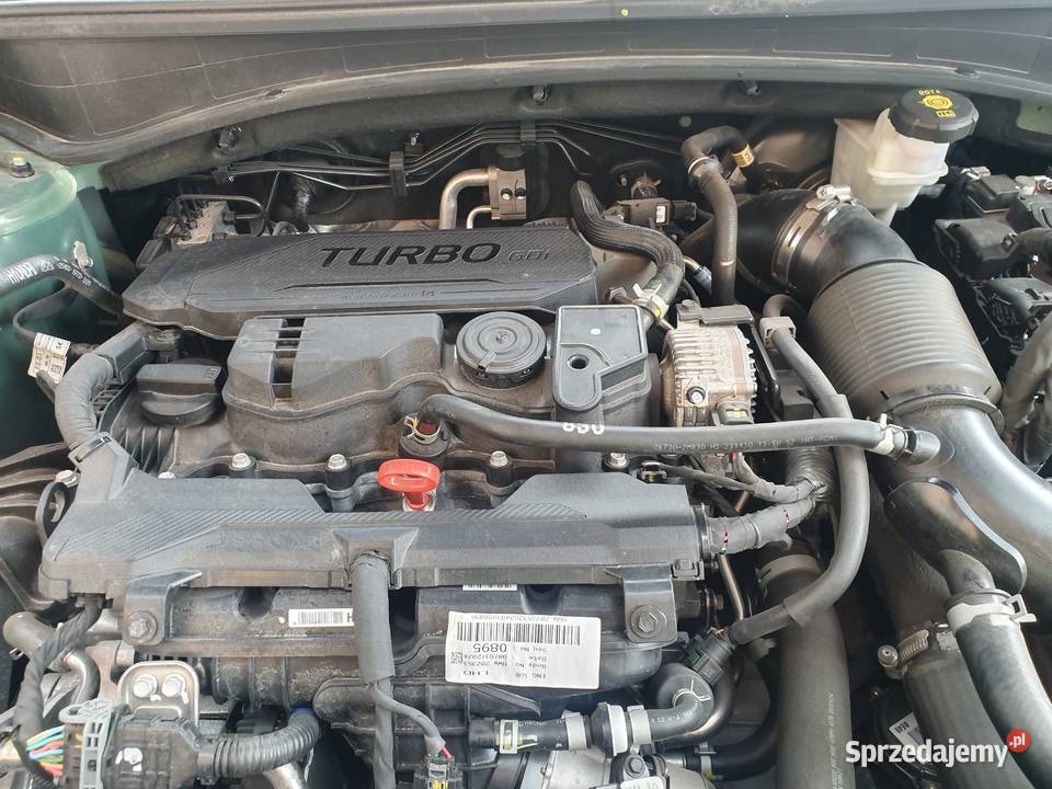 Kia Sportage V 16 TGDI MHEV Bussines LINE2024 zielony