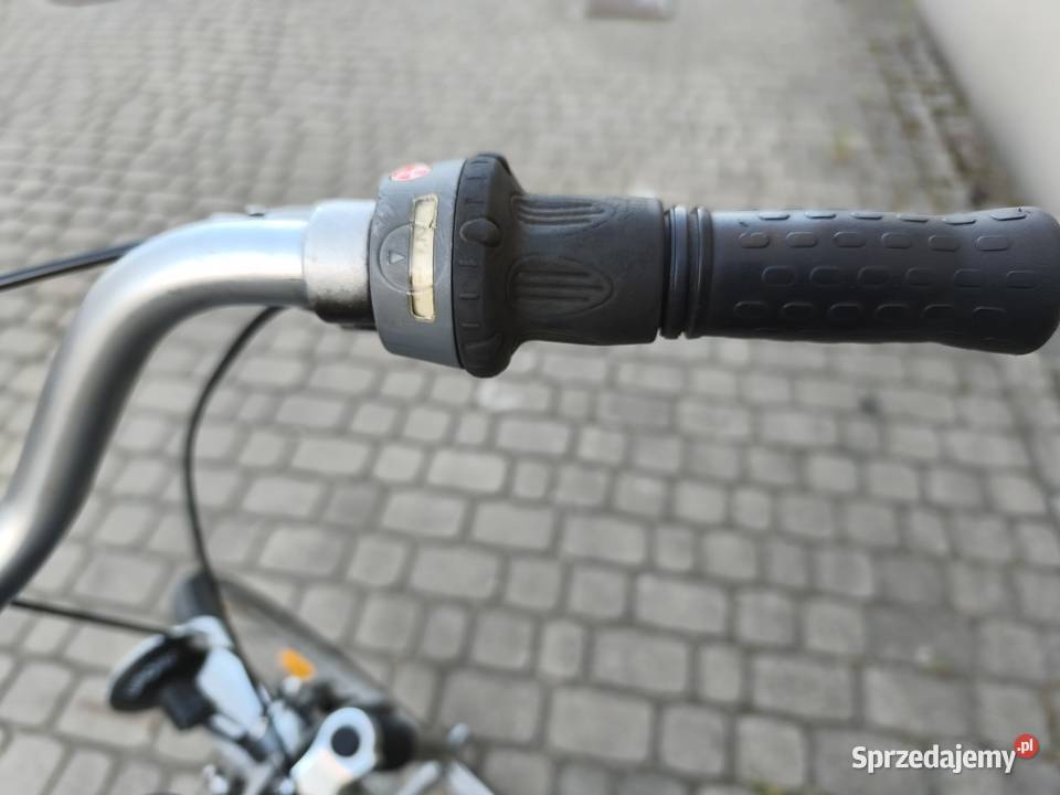 Damka Active city podlaskie Białystok