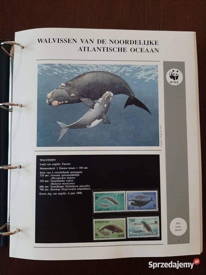 World WWF Kolekcja w specjalnych albumach Konin