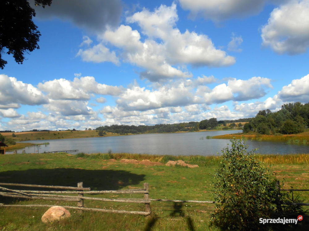 Na 36 hektarów Działki rolnobudowlane las Gm Dęb pomorskie Dębnica