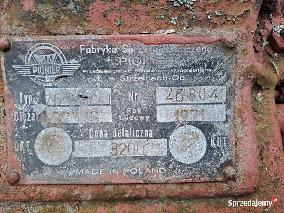 Kopaczka konna sprawna Piękna ozdobą do ogrodu Rusiec