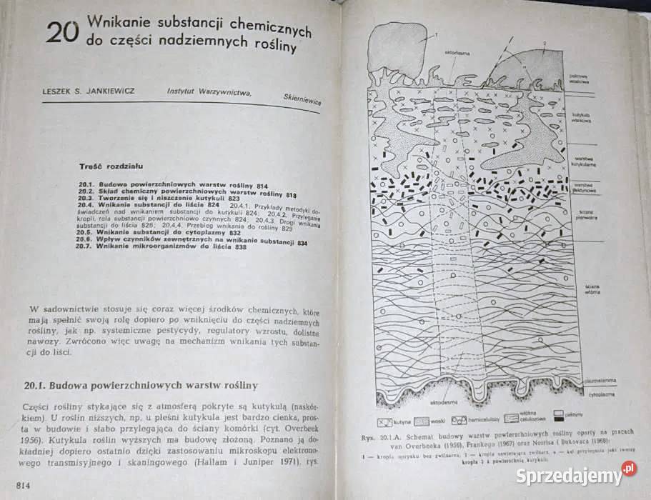 Fizjologia roślin sadowniczych Red Leszek Chełm