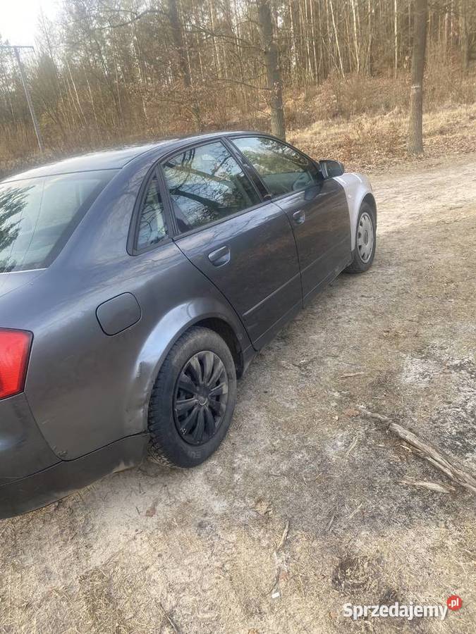 Audi a4 nieuszkodzony Grudziądz
