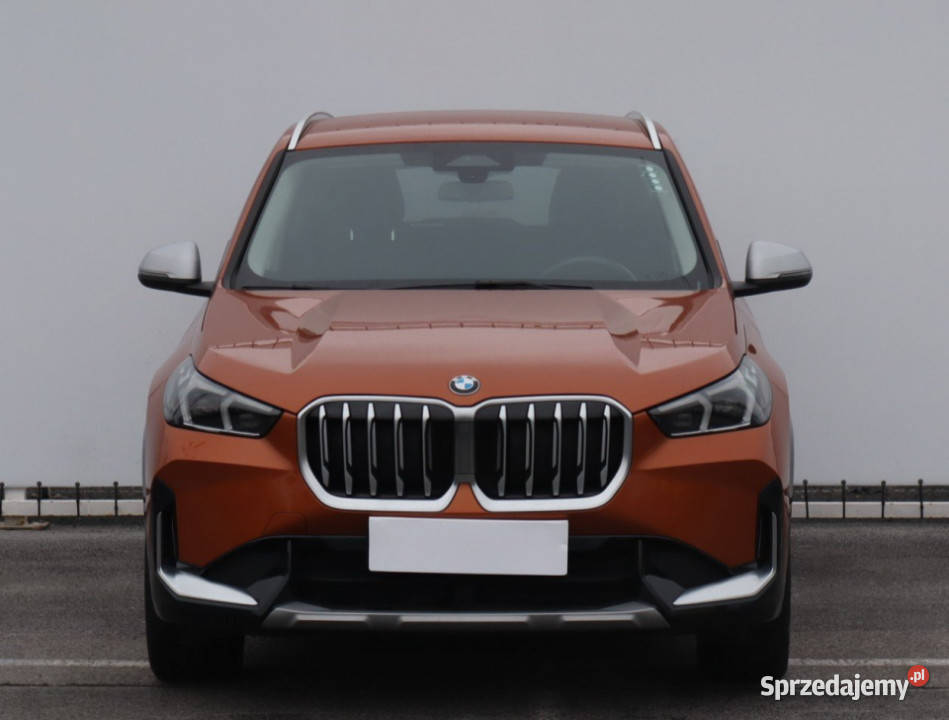 BMW X1 sDrive18i ASR (kontrola trakcji) X1