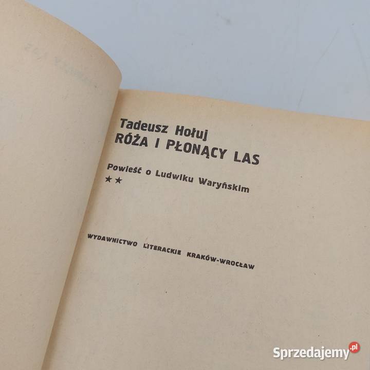 Książka Rża i Płonący Las twarda mazowieckie Kobyłka sprzedam