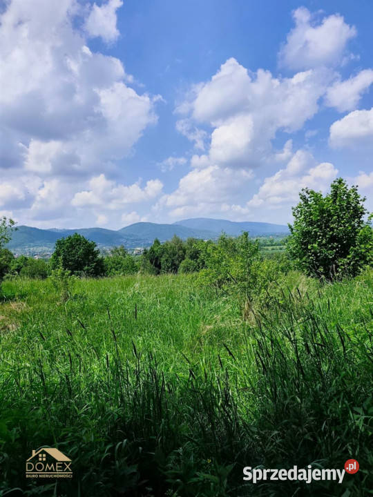 Działka Lipowa 9275m2