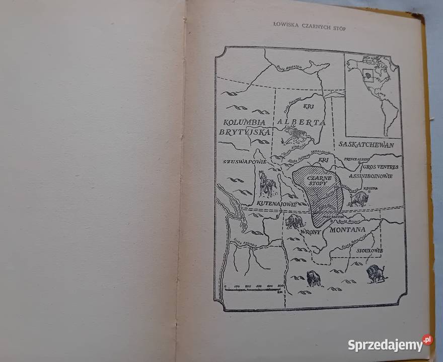 Arkady Fiedler Mały Bizon Iskry 1958r Wydanie V Koźminek