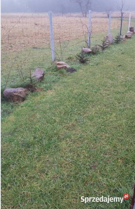 Słupki ogrodzeniowe do siatki leśnej śląskie Ruda Kozielska sprzedam