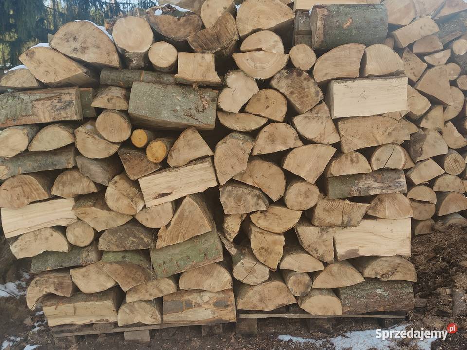 Drewno Opałowe Buk Klon Jesion Dąb Opał Kołobrzeg