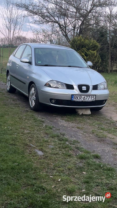 Seat Ibiza 14 benzyna benzyna Ibiza podkarpackie Sanok