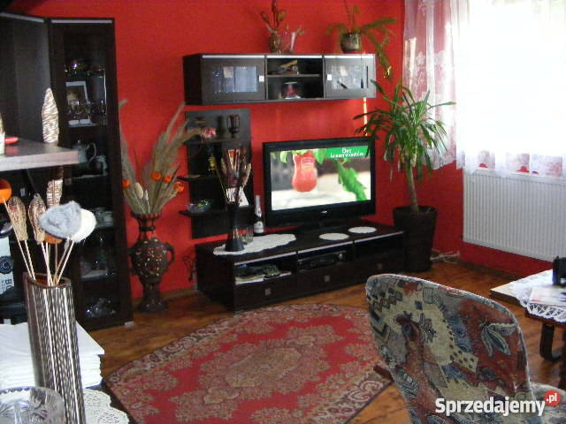 U Zbyszka w Mrzeżynie morzem Mrzeżyno