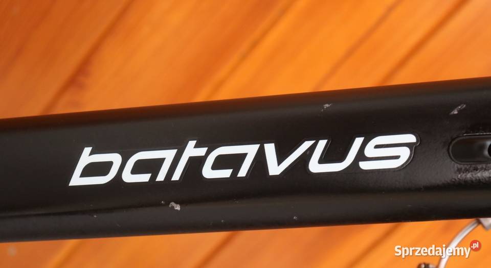 Rower męski Batavus Zonar H 57 I inne rowery Milanówek