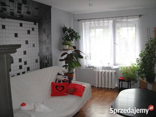 mieszkanie na sprzedaż opolskie Strzelce Opolskie sprzedam