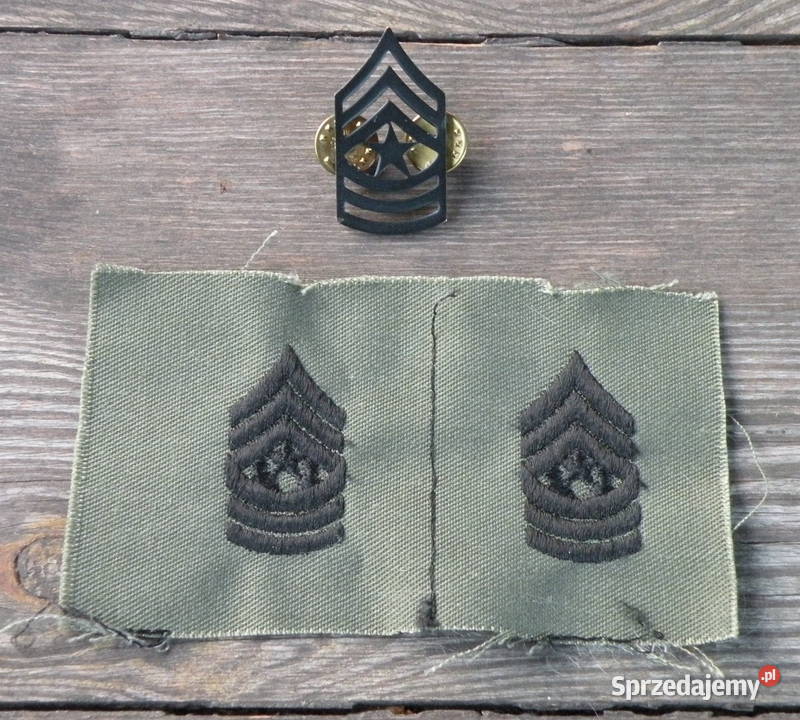 Stopnie us army sergeant major Pin naszywki Militaria Wrocław