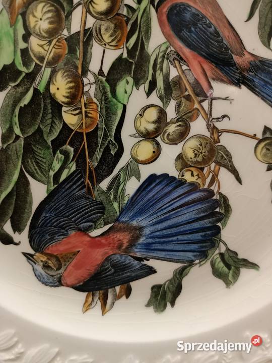 Talerz obiadowy birds America ilustra AUDUBONA Zamość