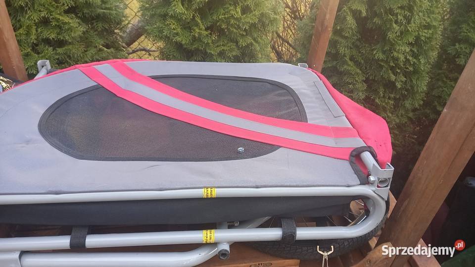 Przyczepka na rower psa