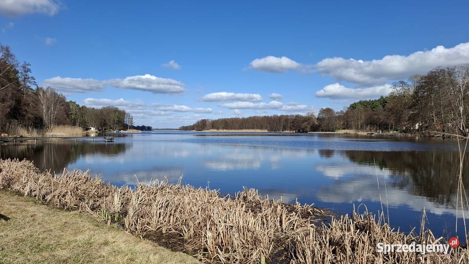 Dom pod lasem jeziora