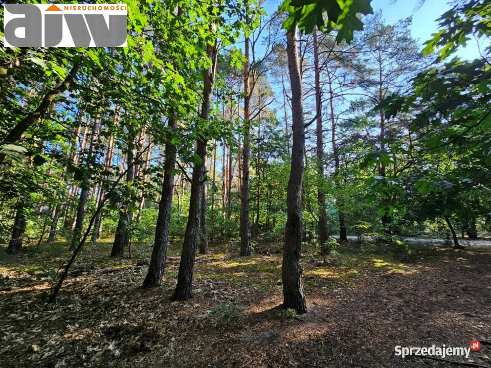 sprzedaży działki Izabelin C 2400m2 mazowieckie