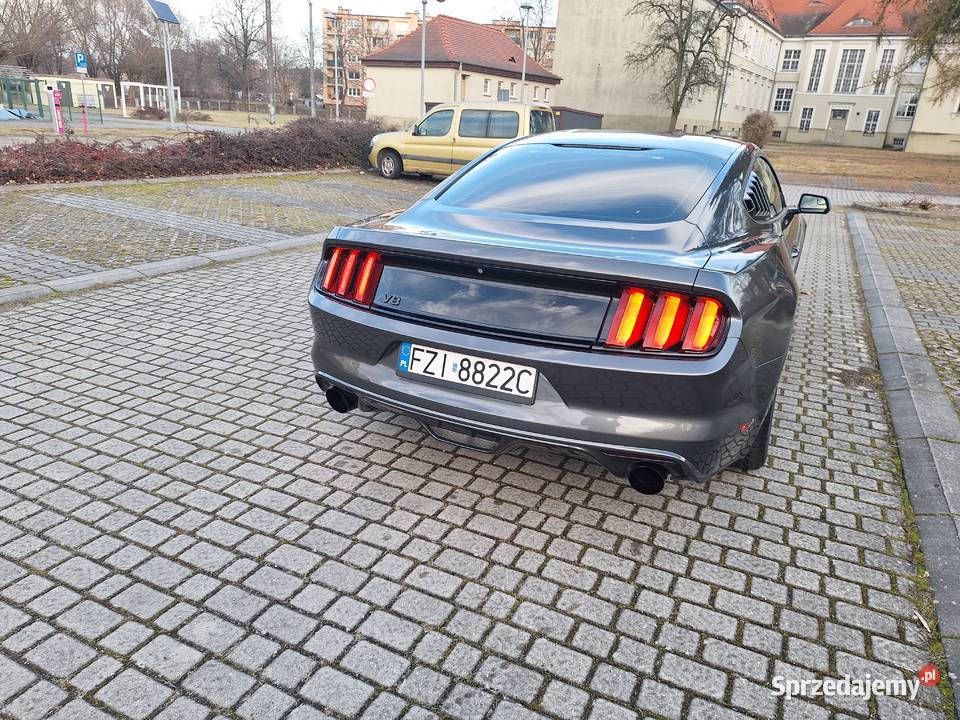 Ford Mustang 37 V6 Ładny Doinwestowany Zamiana Sulechów