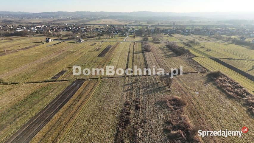 Ogłoszenie grunt 3263m2 Jodłówka sprzedam