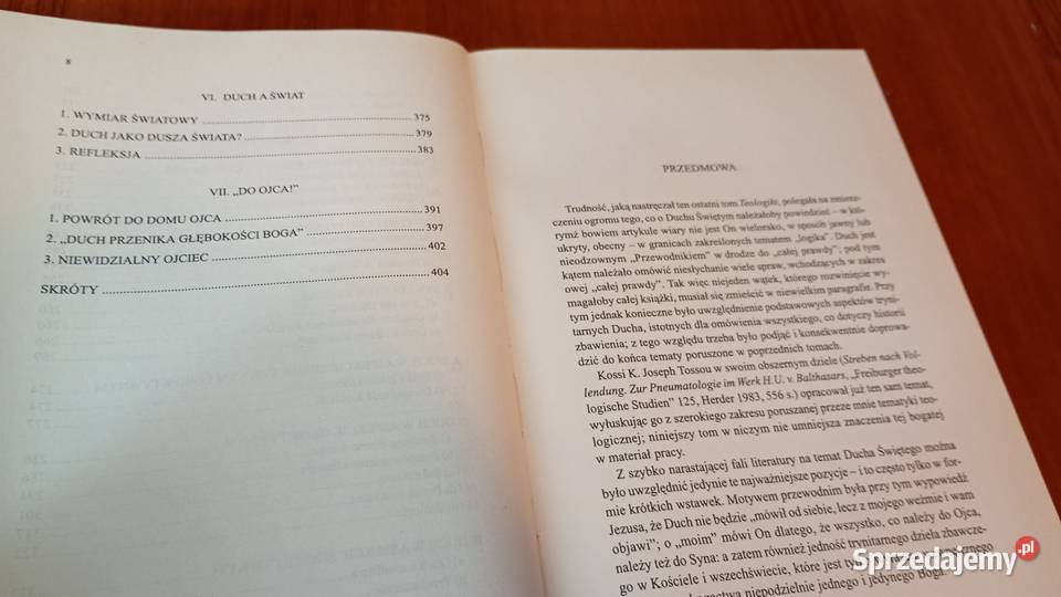 Teologika 13 Prawda świata boga Duch prawdy Hans Gdańsk sprzedam