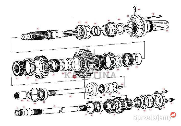 Fendt Farmer 307 308 309 310 311 312 koło zębate Pozostałe Jastrzębniki