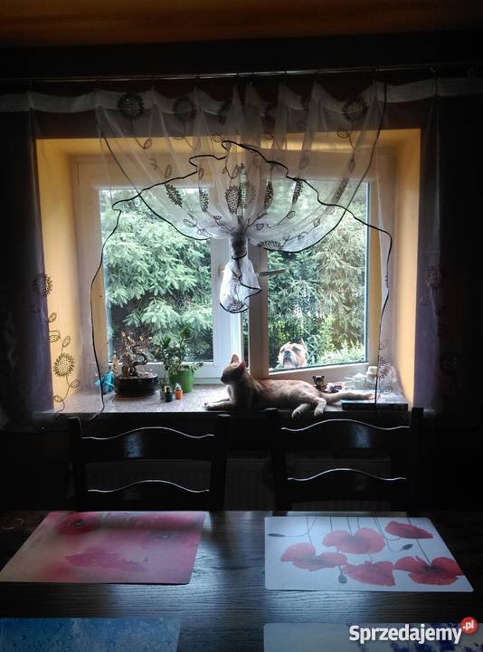 Dom na sprzedaż ogródek Domy dolnośląskie