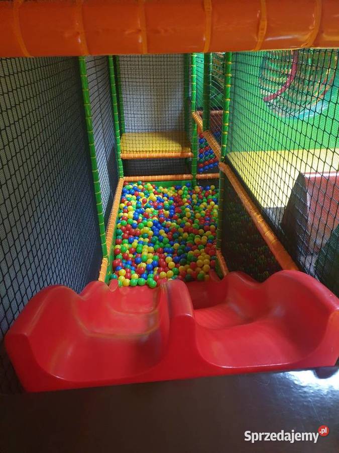 Małpi gaj do sali zabaw Legnica