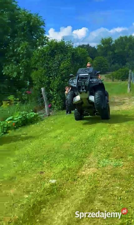 Kawasaki Brute Force 759 Sienica