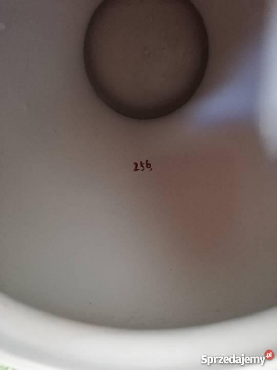 Waza chińska Gorlice