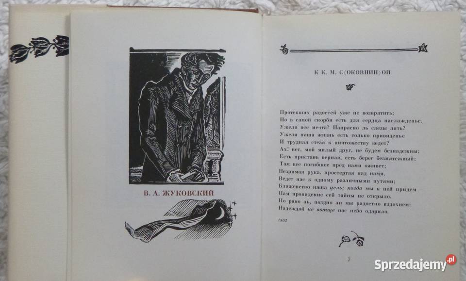 Poeci czasów Puszkina antologia rosyjsku mazowieckie Warszawa sprzedam