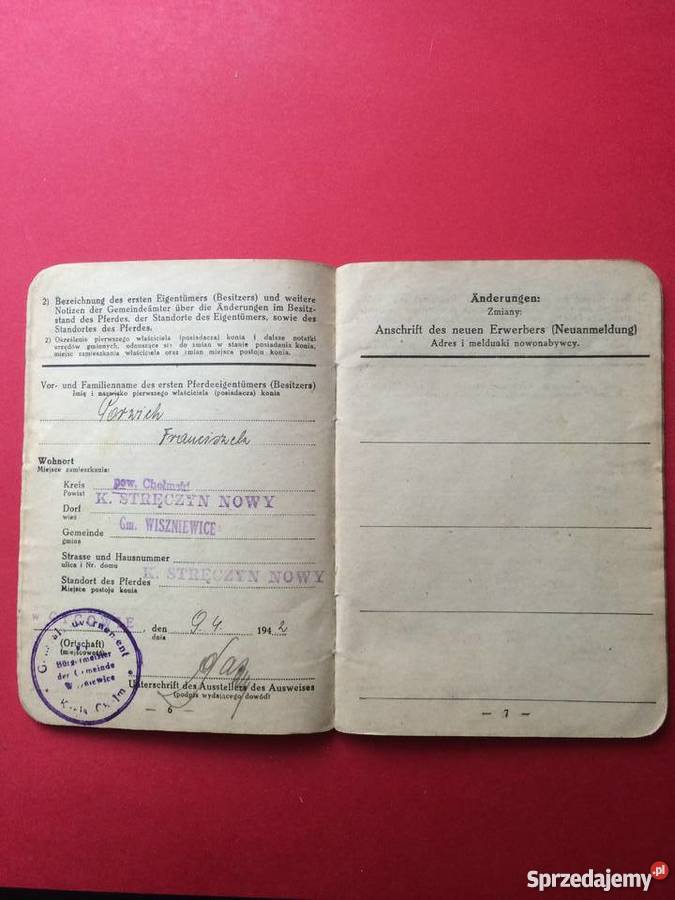 Dowód tożsamości konia zachodniopomorskie Szczecin sprzedam