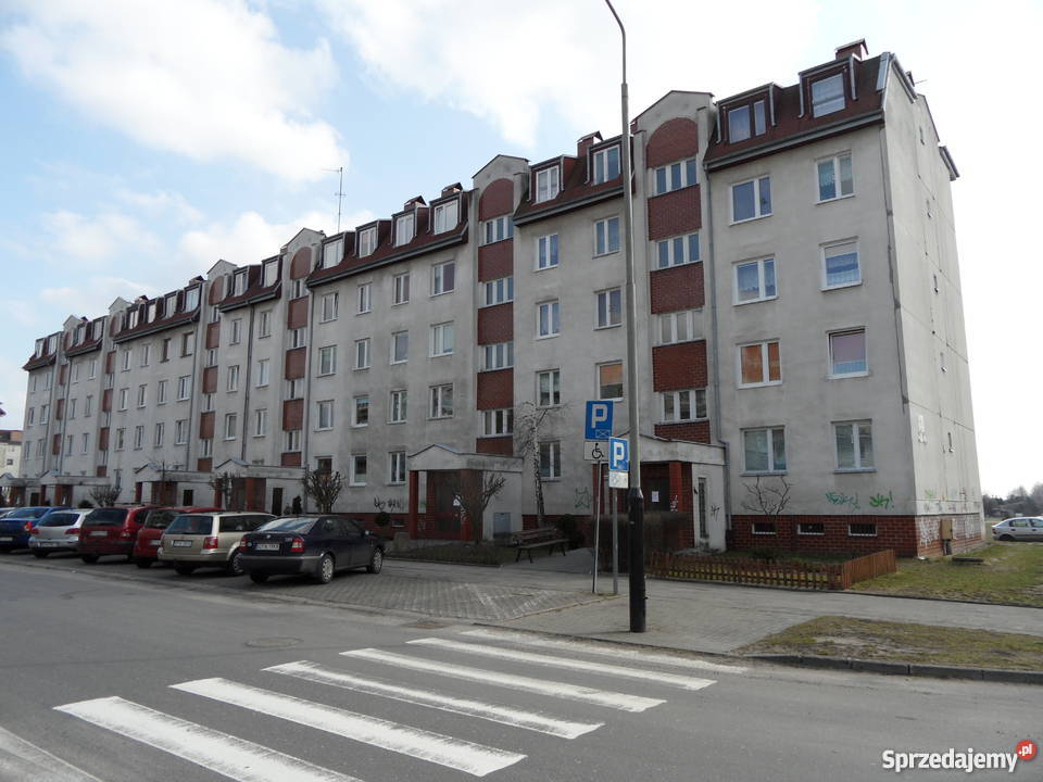 Bugaj Wajsówny BEZPOŚREDNIO łódzkie Pabianice